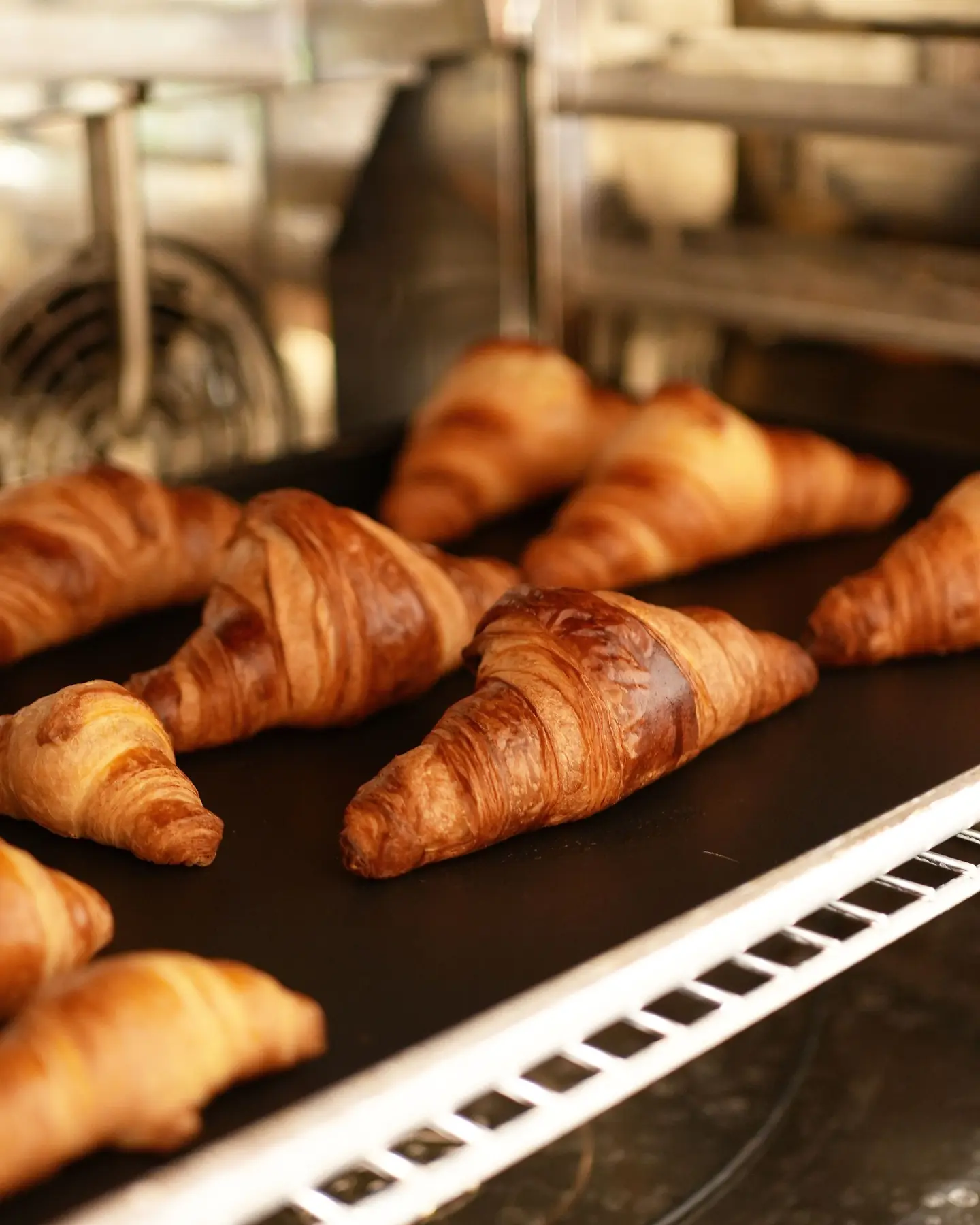 Golden croissants on a baking tray
